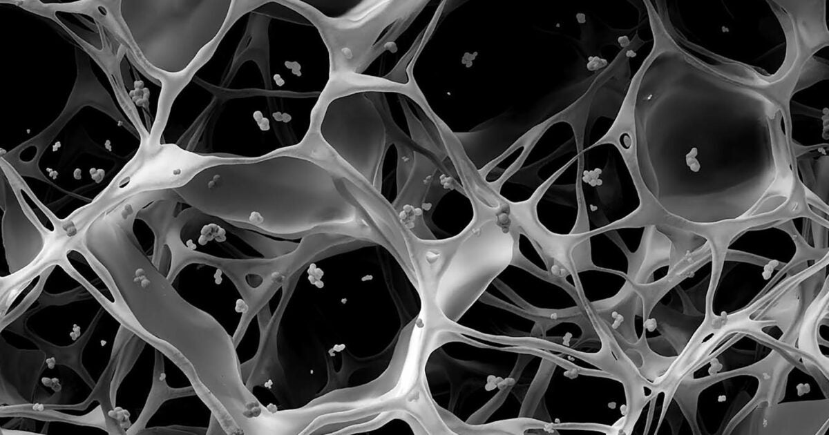 Maurten Hydrogel Sports Fuel Science